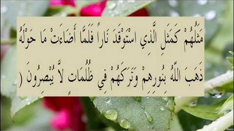 القران الكريم سورة البقرة الاية 17