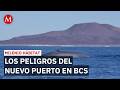 Así afectarán los megacruceros al refugio de la ballena azul en BCS | Milenio Hábitat