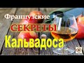 Французский яблочно-грушевый кальвадос. Выпуск 1. СЕКРЕТЫ производства. Calvados Victor Gontier.