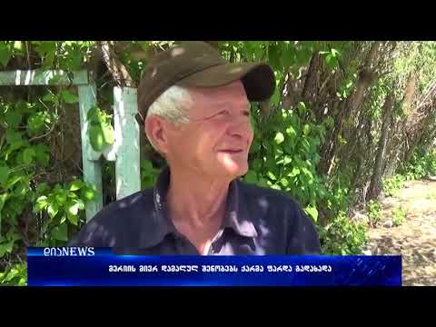 გორის მერიის მიერ დამალულ შენობებს ფარდა აეხადა 26.04.2018