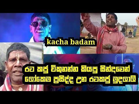 Kacha badam song | රට කජු විකුනන්න කියපු සින්දුවෙන් ප්‍රසිද්ද උන මුදලාලි 😍 #kachabadam