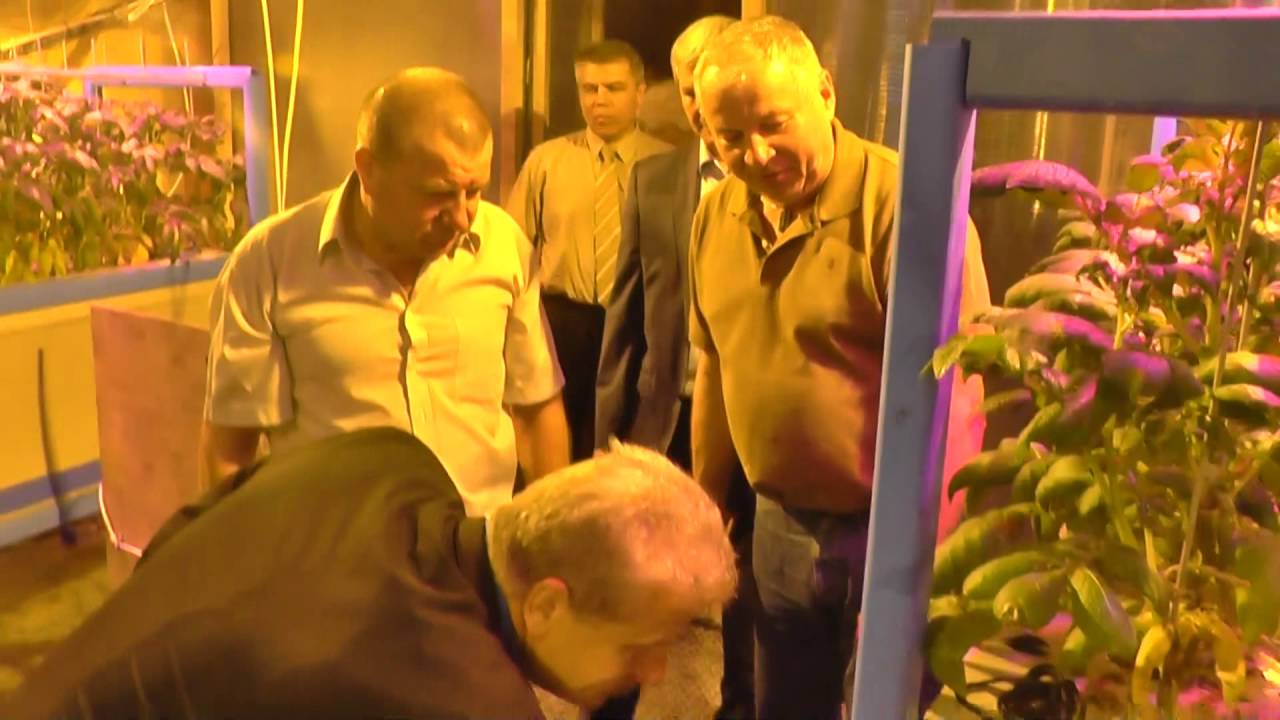 Ресторан встреча дятьково Ресторан встреча дятьково