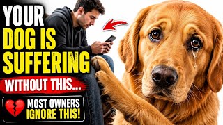 9 Things Your Dog Needs Every Day | Pup Signals #usa #viral #dogs 