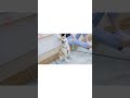 Wholesale Custom Step In Dog Harness Your Design Our Factory Fashion Diy Wholesale Custom Step In Dog Harness Your Design Our Factory Fashion Diy