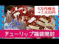 チューリップ福袋の中身 7,920円 ネタバレ【ガーデニング】2022年 年末福袋 富山花卉球根農業協同組合