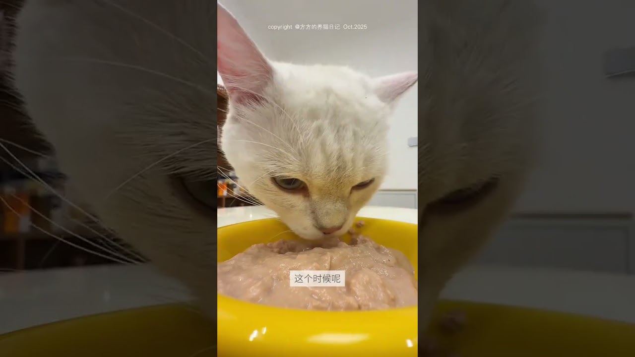 For dinner cut 𝟏 super large Dutch pig hearts to eat (can they be eaten raw)