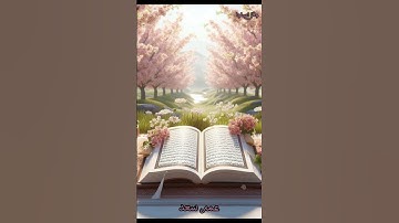 ويطعمون الطعام على حبه... تلاوة عطرة من سورة الانسان🌸