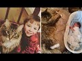 You Will Never Believe How This Maine Coon Cat Behaved When His Owners Had A New Baby!