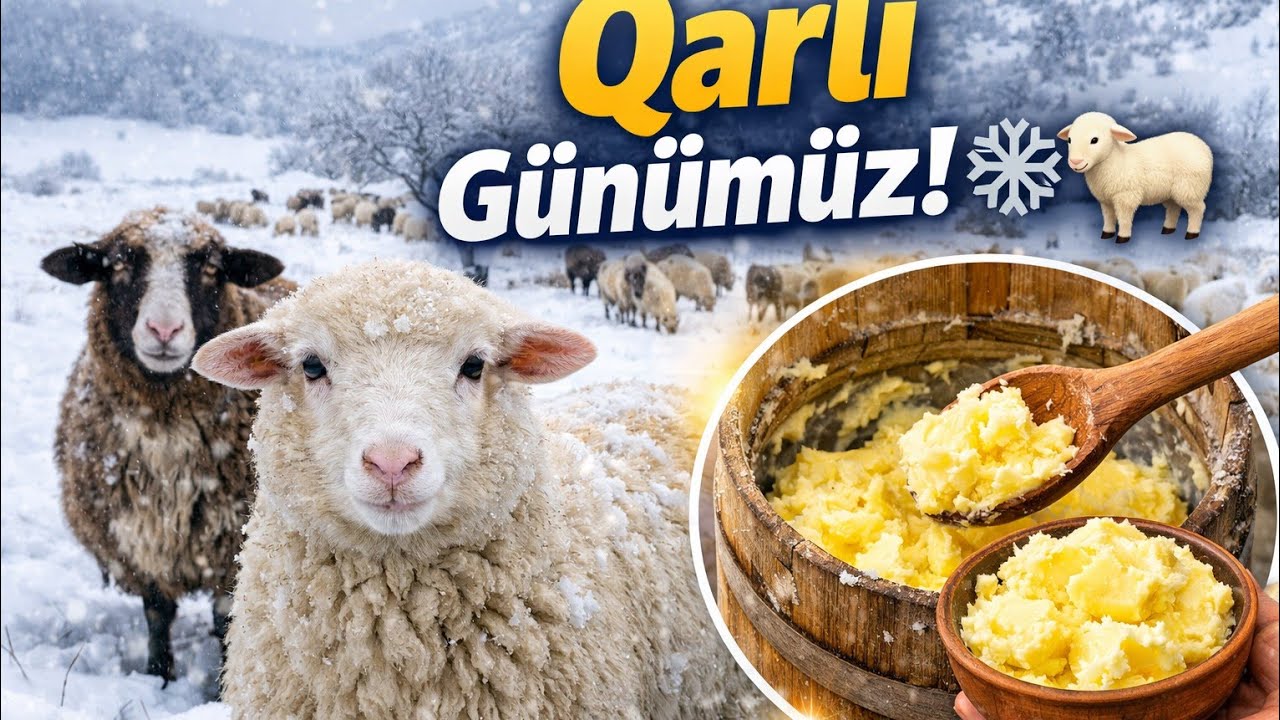 Qarlı bir gün;Nehrə yağının hazırlanması və gündəlik kənd isləri#kəndhəyatı #bizimkəndhəyati#village