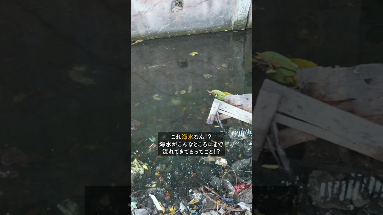 2050年までに海に沈む世界第２位のメガシティの現実が恐ろしかった