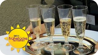 Der Beste Sekt Für Silvester? Der Große Sekt-Test Sat.1 Frühstücksfernsehen