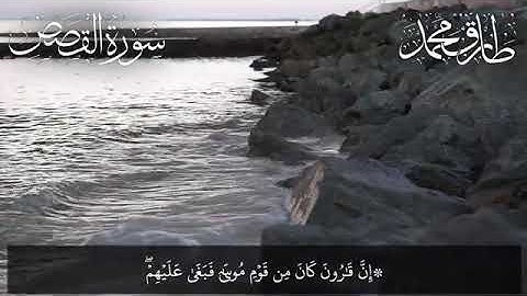 ❤تلاوة هادئة لما تيسر من سورة القصص بصوت القارئ طارق محمد❤بدون إعلانات❤coran sans publicité❤