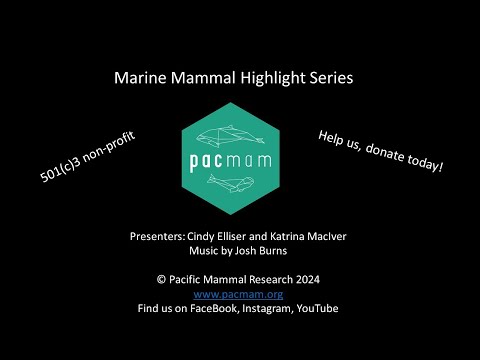 Pacific Mammal Research