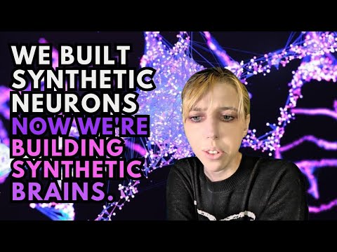 We Build Synthetic Neurons, Now We're Building Synthetic Brains 