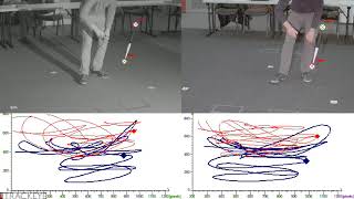 Wand Calibration