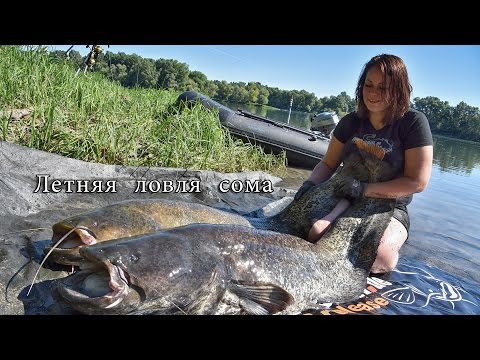 Видео: Рыбалка на сома летом.