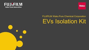 EVs Isolation Kit