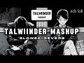 TALWIINDER Mashup | slowed &amp; reverb | BEST PUNJABI TALWIINDER MASHUP 2025 | RICH LO-FI | @Talwiinder