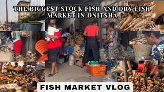 THE BIGGEST FISH MARKETS IN ONITSHA NOBODY TALKS ABOUT! Nigeria Market vlog! LIFE IS ONITSHA!