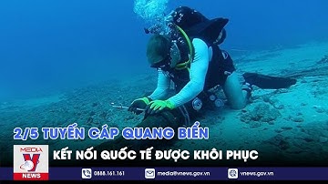 2/5 tuyến cáp quang biển kết nối quốc tế được khôi phục - VNEWS