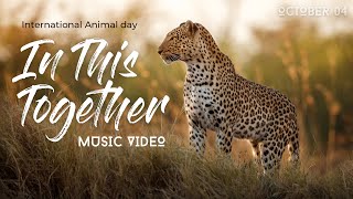 In This Together  Music Video | Our Planet | Netflix | Ellie Goulding & Steven Price