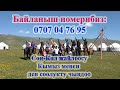 Ден соолукту кымыз менен чыңдоо / Кымызо лечение