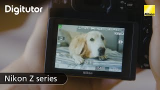 Animal-Detection AF (Faces/Eyes of Dogs and Cats) | Z 7/Z 6/Z 5/Z fc | Digitutor