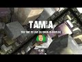 Tamia - This Time Its Love (DJ Snow SA Bootleg)