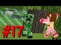 【マインクラフト】　Captive Minecraft　実績解除で広げよう！　パート17　【朱梨】
