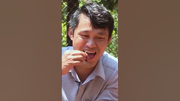 Món đặc sản ít người dám thử nhất của tây nguyên nhộng sâu muồng | TÂY BẮC TV #shorts