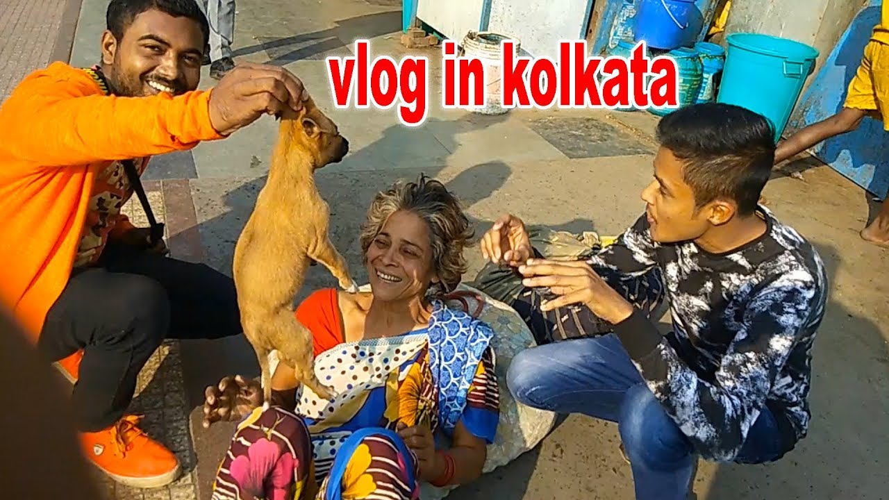 piglu vlog in kolkata 2018 | piglu entertainment