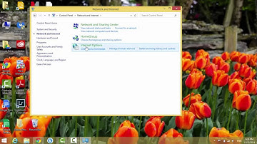 How to Enable or Disable Proxy Server on Web Browser