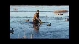 Pakkaspäivän sorsajahti (8 riistalajia!) | Duck hunting in the middle of ice( 8 species mixed bag!)