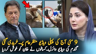 Video Leaked : Bad Condition Of Wheat That Govt Import From Ukraine | Imran Khan News