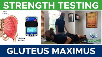 Gluteus Maximus | Strength Testing with a Hand Held Dynamometer