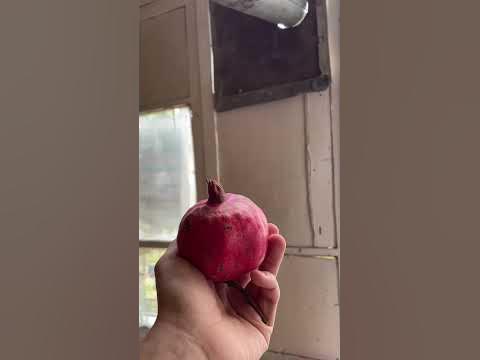 Какой ваш любимый фрукт? #фрукты #армения #осень #armenia #fruits #fall ...