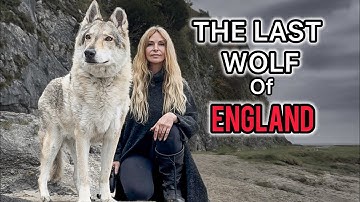 THE LAST WOLF OF ENGLAND / How England