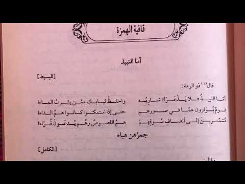 ديوان ذو الرمة قافية الهمزة