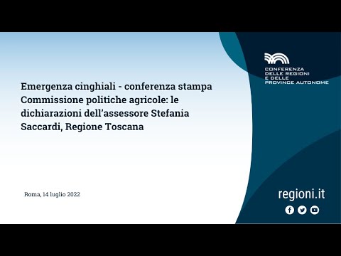 Emergenza cinghiali: dichiarazioni della Vicepresidente Saccardi, Regione Toscana
