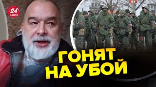 ⚡Россиян отправляют на убой! ШЕЙТЕЛЬМАН сказал, к чему готовится Путин @sheitelman