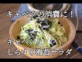 【キャベツの消費】キャベツとしらすの海苔サラダの作り方