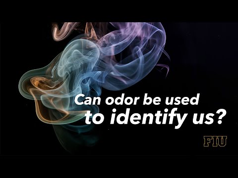 Can odor be used to identify us?