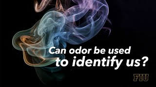 Can odor be used to identify us?