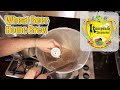 How to brew a Wheat Beer
