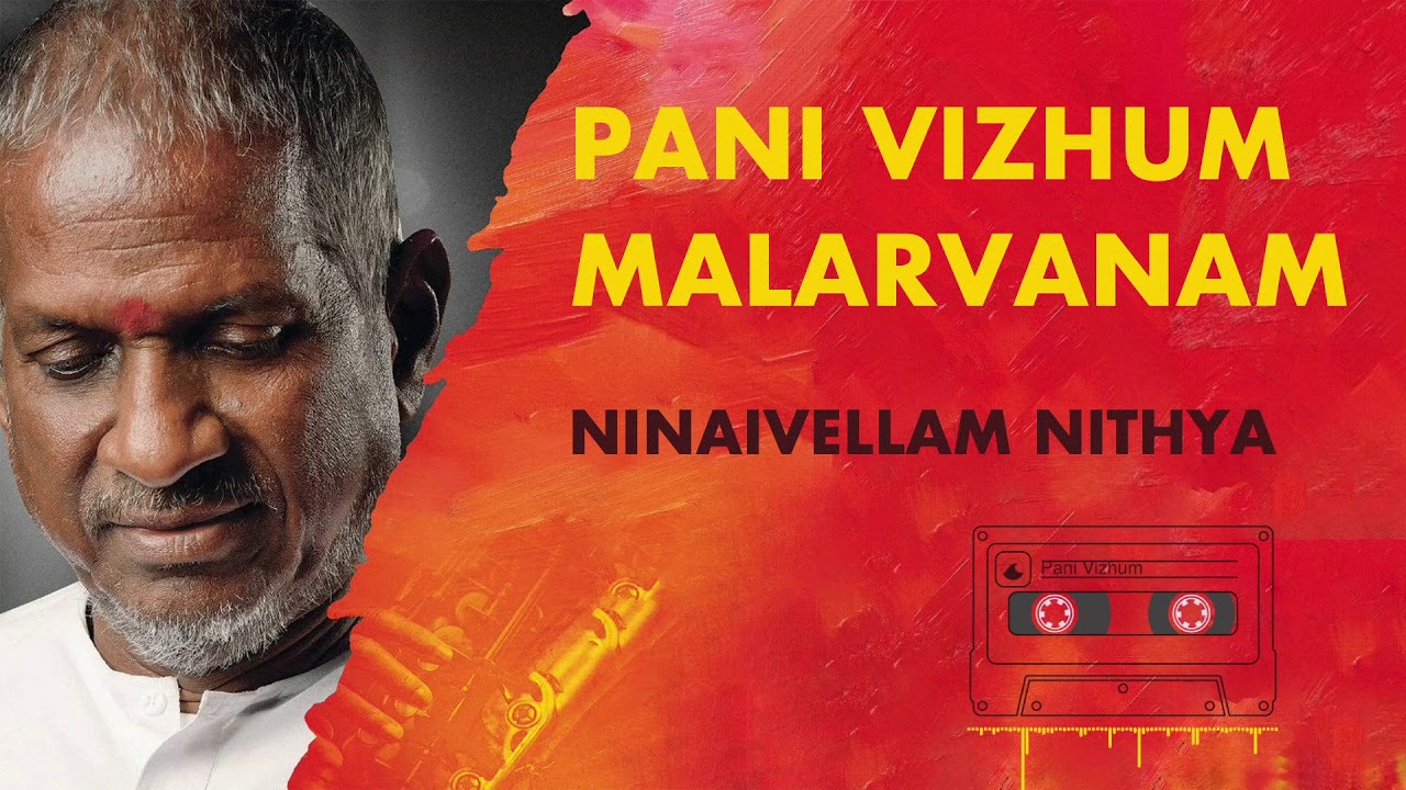 Pani Vizhum Malarvanam   Ninaivellam Nithya  Ilayaraja  24 Bit Song  SPB