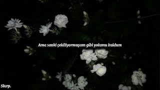가리워진 길 - Yoo Jae Ha // Türkçe Çeviri - Turkish Sub. //