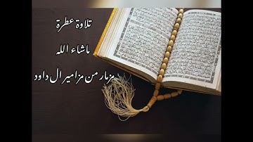 تلاوة عطرة تقشعر لها الابدان مزمار من مزامير ال داود