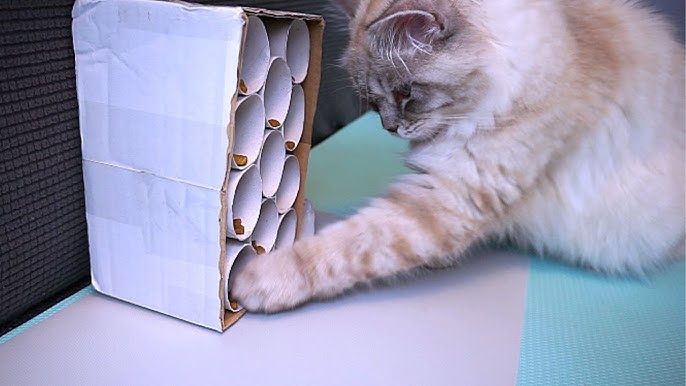 Modular cat enrichment puzzle feeder by Machspace, Download free STL model