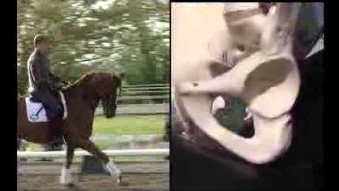 Female vs. Male Saddles - Schleese Saddlery Service