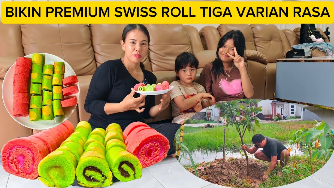 BIKIN PREMIUM SWISS ROLL MINI DAN PINDAHKAN POHON MANGGA YANG DI DEPAN RUMAH